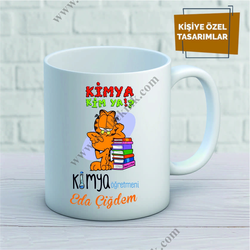 Kimya Öğretmeni 